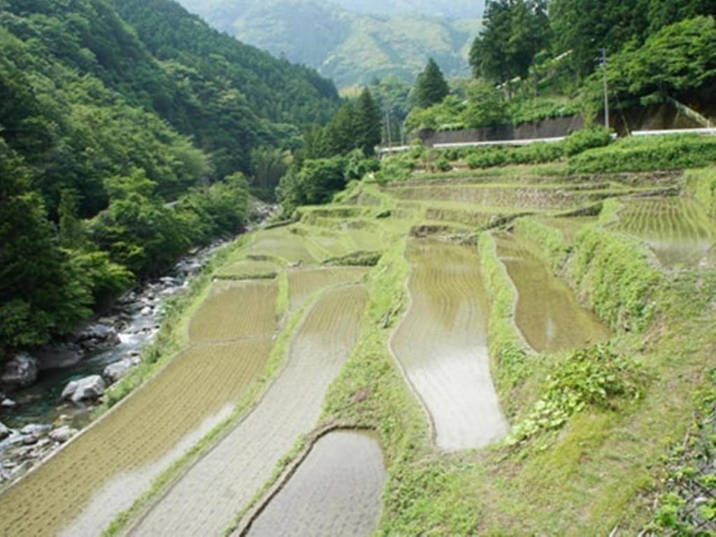 Auberge Tosayama Kōchi Eksteriør bilde